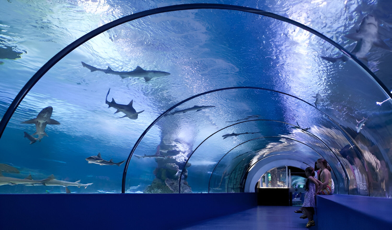 Antalya Akvaryum Giriş Ücretleri 2025