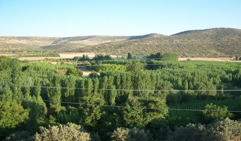 Mardin de Kamp Yapılacak Yerler