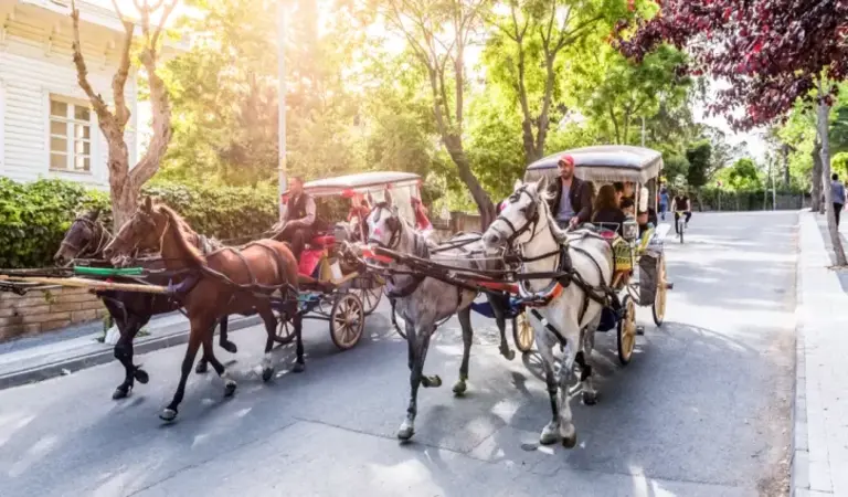 Büyükada da Gezilecek Yerler 