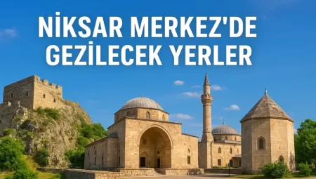 Niksar Merkez de Gezilecek Yerler