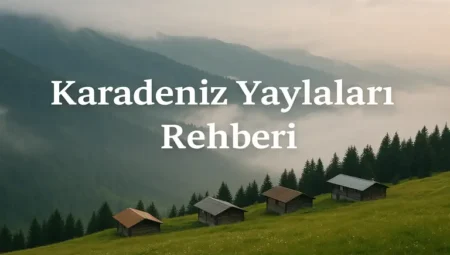 Karadeniz Yaylaları Rehberi : Konaklama, Ulaşım ve Gezilecek Yerler