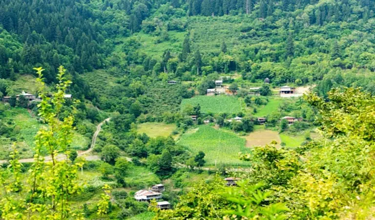 Artvin de Gezilecek Yerler