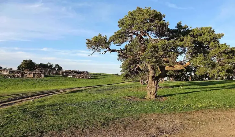 Mardin de Kamp Yapılacak Yerler