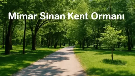 Mimar Sinan Kent Ormanı