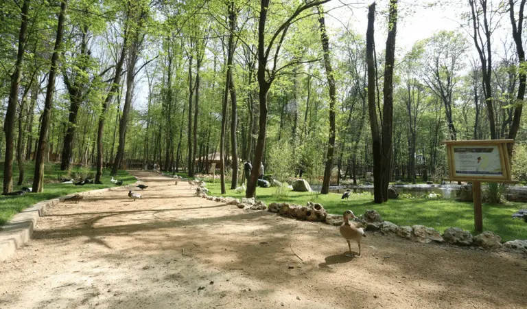 Kocaeli de Mangal Yapılacak Yerler