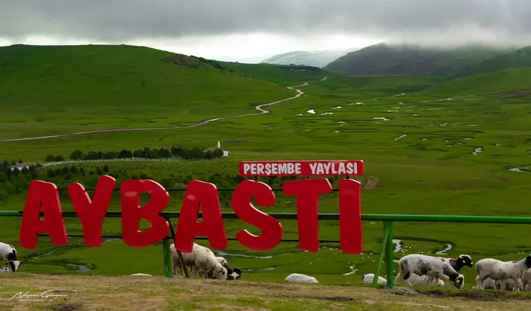 Ordu da Gezilecek Yerler