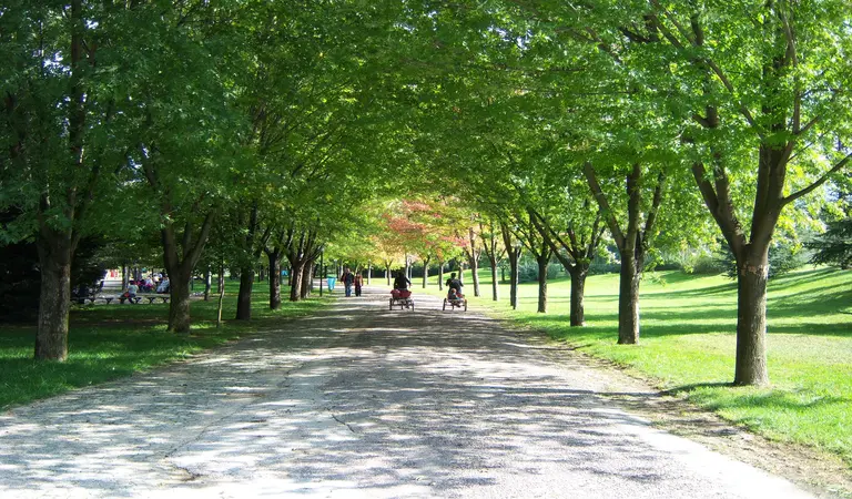 Bursa da Piknik Yapılacak Yerler