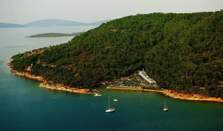 Ayvalık Kamp Alanları