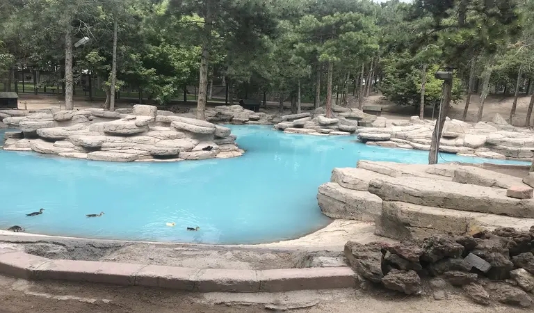 Barsama Mesire Alanı