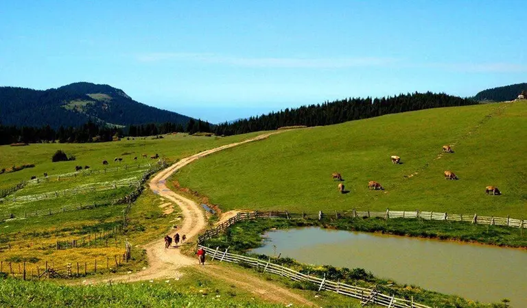 Tokat da Kamp Yapılacak Yerler