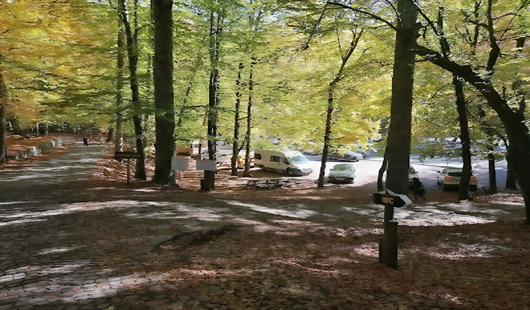 Bolu da Mangal Yapılacak Yerler